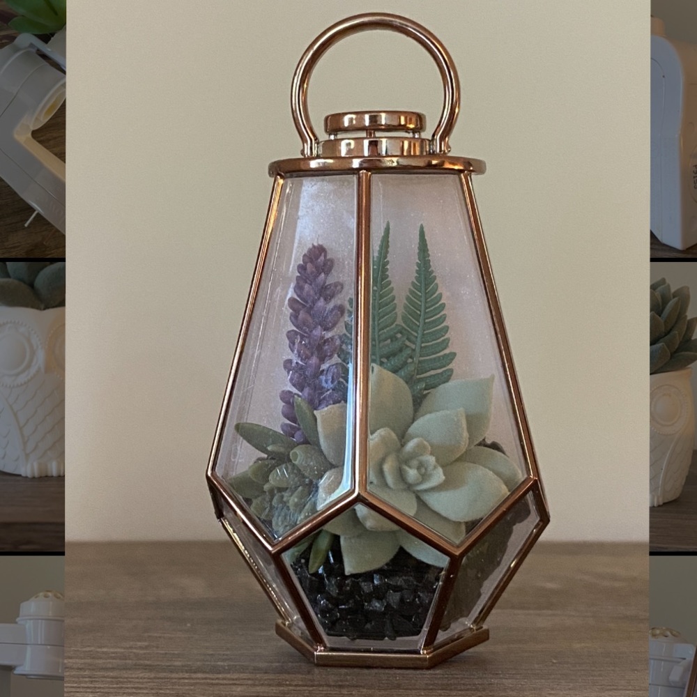 Bath and Body Works Succulent Wallflower